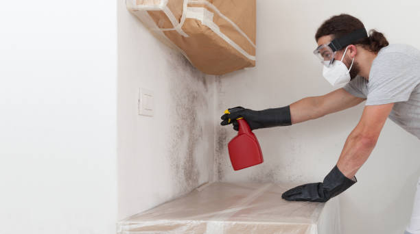 Professional Mold Removal technician working in Jersey City, NJ