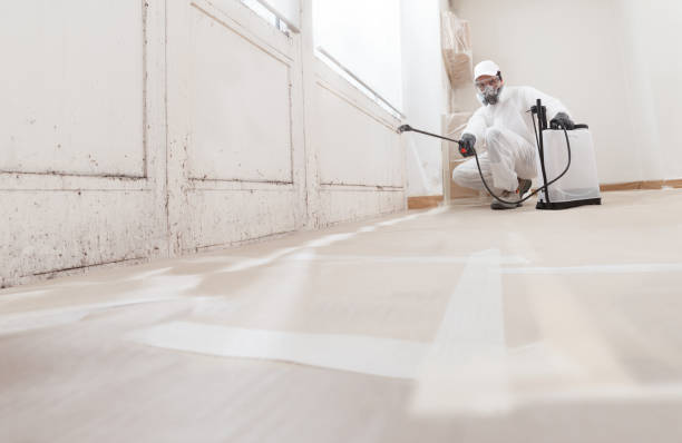 24/7 Emergency Mold Removal experts in Jersey City, NJ