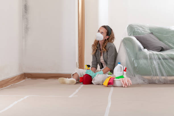 Reliable Mold Removal contractor in Jersey City, NJ by Mold Remediation HQ